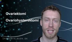 ovariektomi ovariohysterektomi