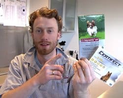Loppekure der er giftige for katte