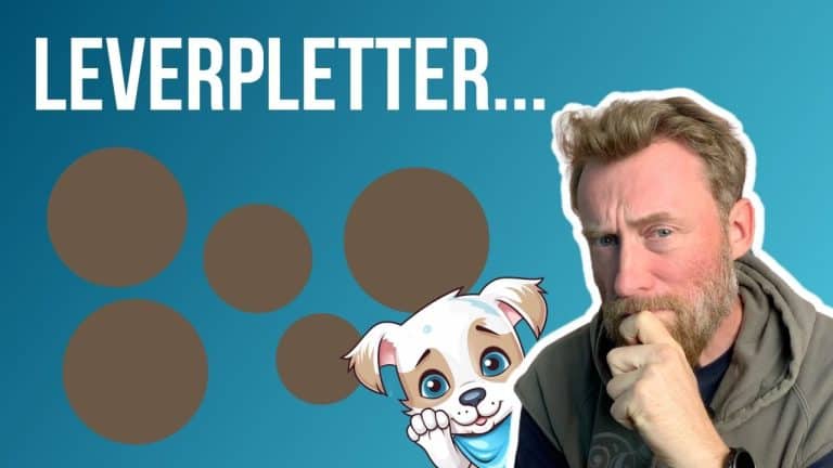 Kan hunde få leverpletter? Og kan man fjerne dem?