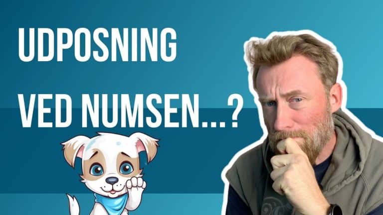 Hund med blod fra udposning ved endetarmen