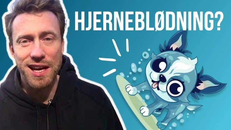 Har min hund fået en hjerneblødning?