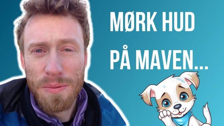 Hund med mørke pletter i huden og vorter?