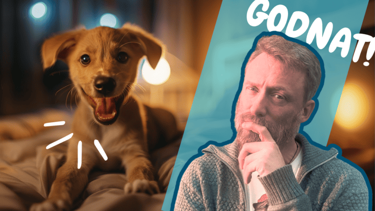 7 grunde til at din hund ikke sover om natten